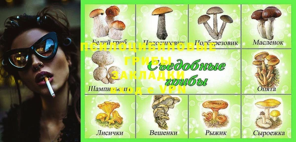 прущая мука Покачи