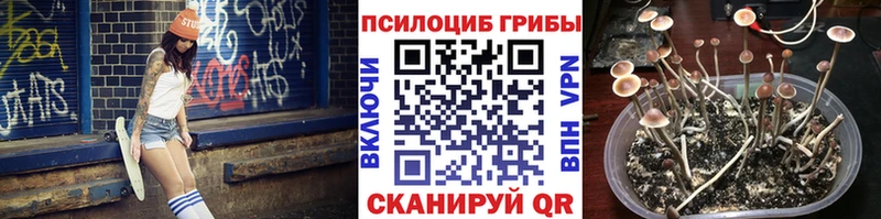 Псилоцибиновые грибы MAGIC MUSHROOMS  Сухой Лог 